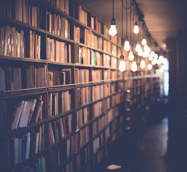 A library shelf with hanging lights above it.