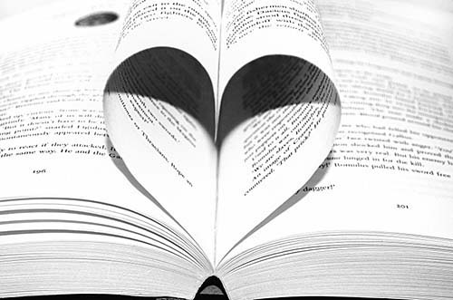 love_of_books_202371