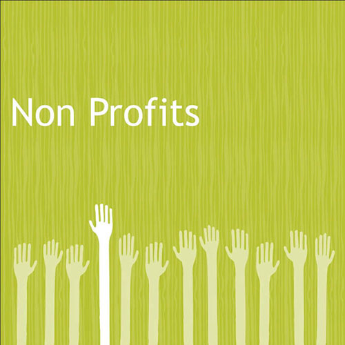 no-profit