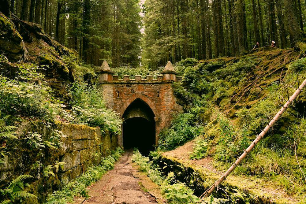 castle in a forest