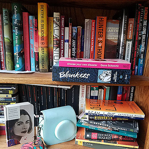 Book shelf including books of different genres, colors, and sizes.