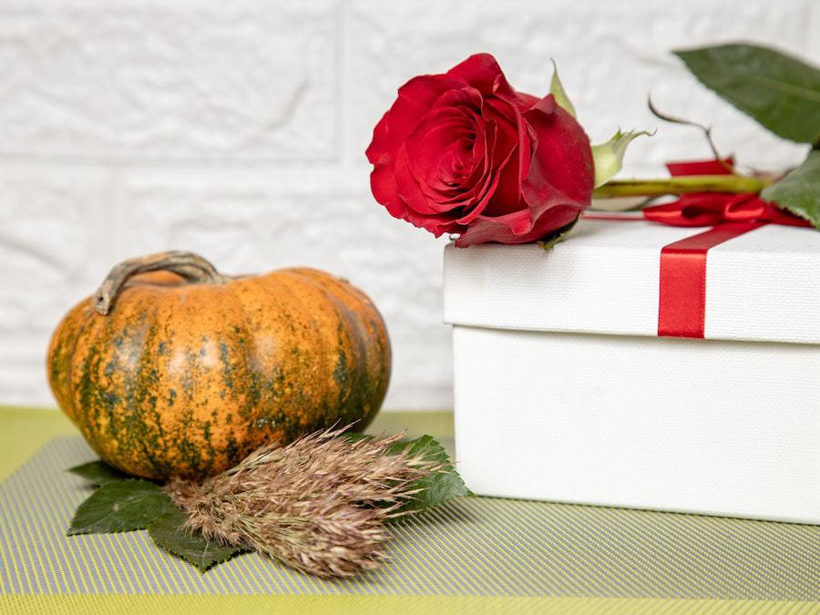 A green-speckled, orange pumpkin sits on a small bundle of tan wheat and a green leaf. Next to it sits a white present with a red bow. Sitting on top of the present is a red rose.
