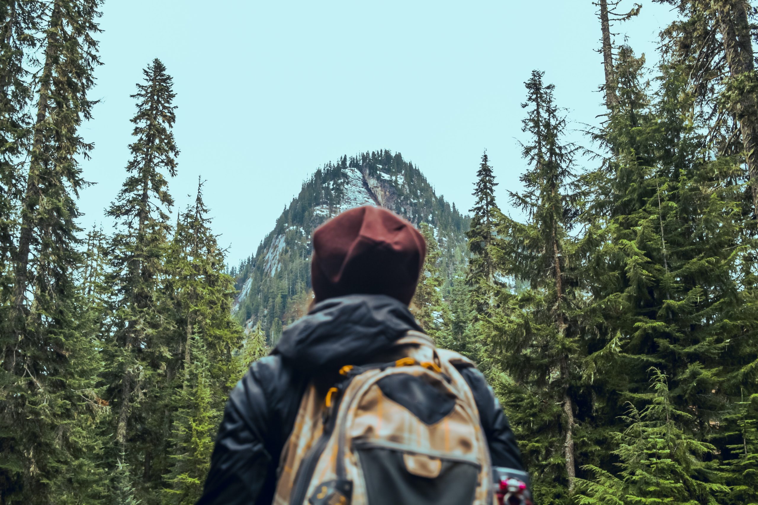 A hiker gazes up at the vast, green, forested mountain in front of them