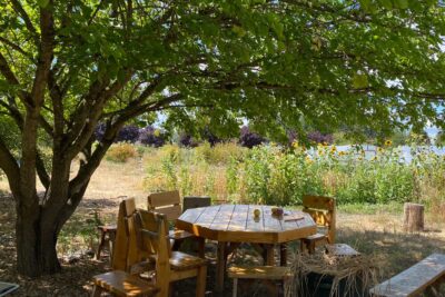 Trang Nguyen_blogpost 1 image 1